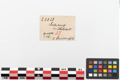 Etiketten zu Bronzebrillenfibel (NHMW-PRAE-023828)